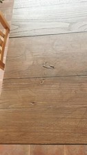 Tavolo legno massello - tavolo, con