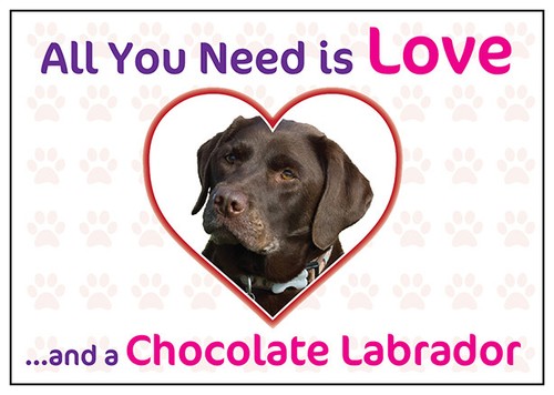Funny love and chocolate - funny,