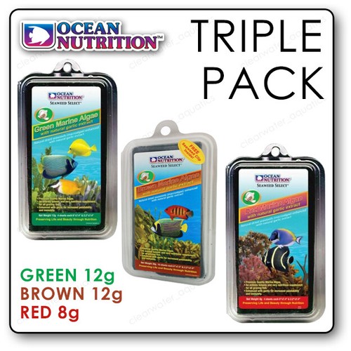 Ocean nutrition alghe - alghe, marine