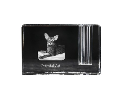 Gatto orientale portapenne - -,