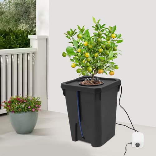 Sistema dwc coltura acqua - dwc,
