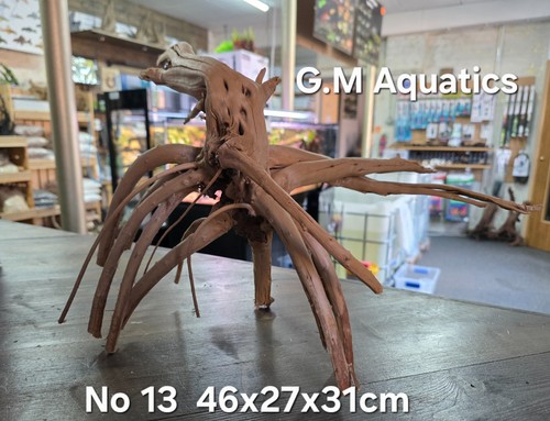 Acquario acquascape - acquario,