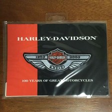 HARLEY-DAVIDSON 100°