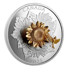 50 $ DOLLARI Il Colibrì E Il