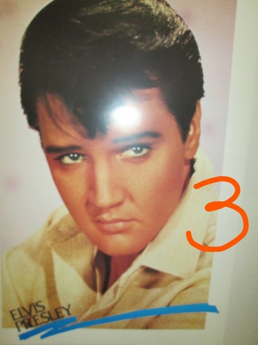 Elvis presley poster 61x91 - presley, cm