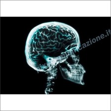 QUADRO MODERNO POSTER ARREDO CASA ASTRATTO DESIGN INFRAROSSI TESCHIO SCHELETRO