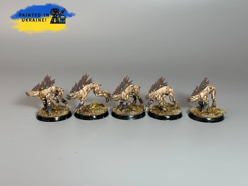 Kroot hounds - kroot,