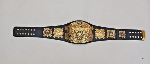 World championship undertaker - world,