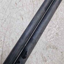 Coppia pistoncini portellone