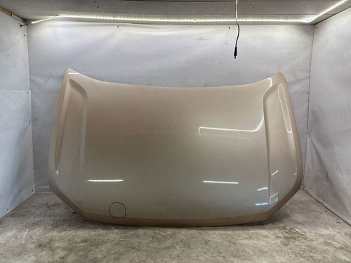 Cofano motore volkswagen - cofano,
