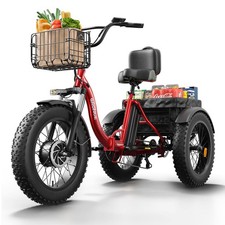 Electric Trike for Adults 960W
