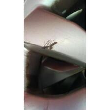 4 CERCHI IN LEGA PER KIA RIO (15-17) 1.1 CRDI (55KW) BER. 5P/D/1120CC 2015