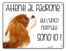 Cartello cane Cavalier King