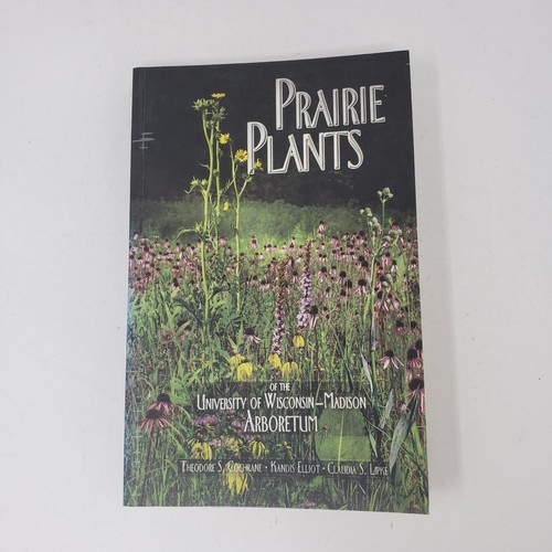 Prairie plants madison - prairie,