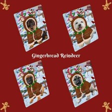 Calamita frigo natalizia pan