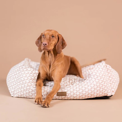Paikka letto cane treasure - cane,