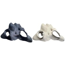 Angolo Acquario Terrario