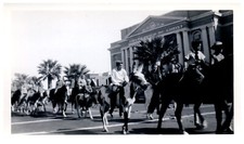 7 Mule Days Baltimora MD