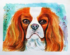 Ritratto ad acquerello cane