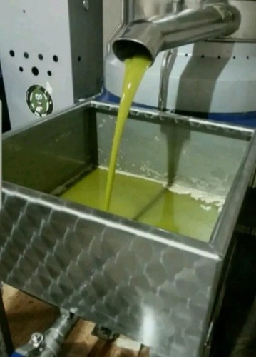 Olio extravergine oliva - olio,