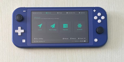 Nintendo switch lite 100 - nintendo,