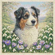 Cane cucciolo pastore