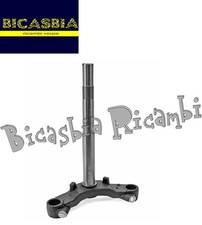 21388 - TESTA FORCELLA