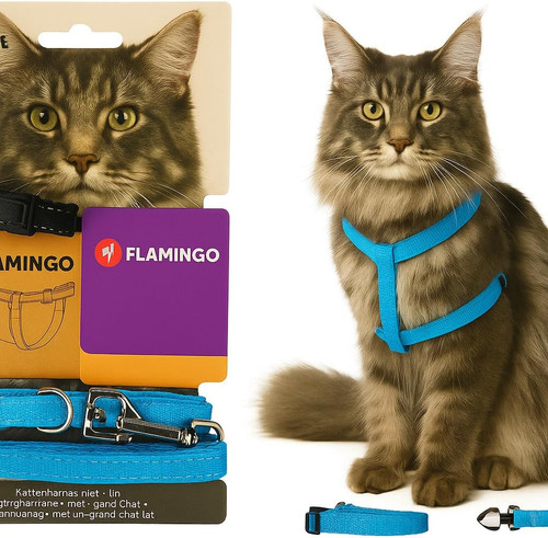 Gatto pettorina con guinzaglio - pettorina,