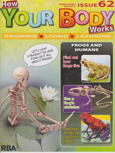 How your body works issue - how,
