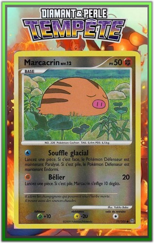 Marcacrin reverse - marcacrin,