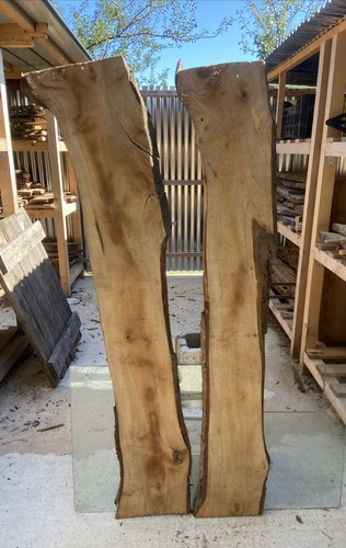 Coppia tavole legno di - coppia,