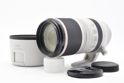 Canon 100 500mm 7 1 - 100-500mm, f4.5-7.1