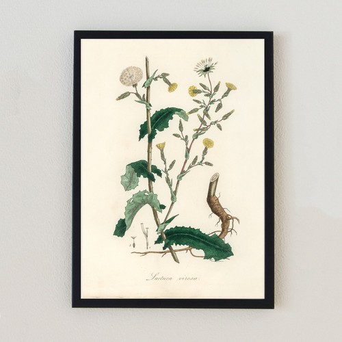 Stampa artistica parete 7x5 - parete,