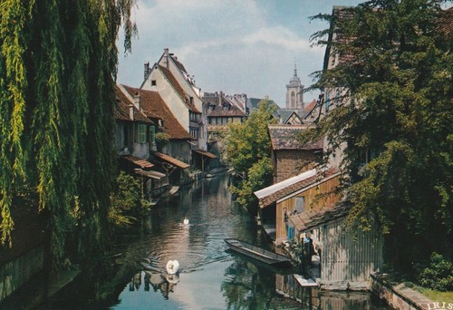 Cartolina colmar alsazia - cartolina, colmar/alsazia