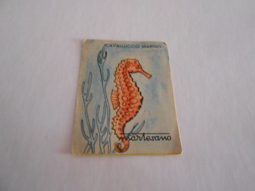 Figurina carta geografica del - figurina,