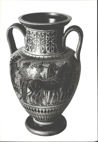 Orvieto black figure amphora - orvieto,