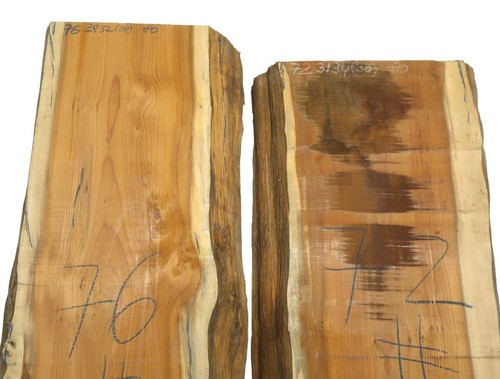 Tasso legno - tasso,