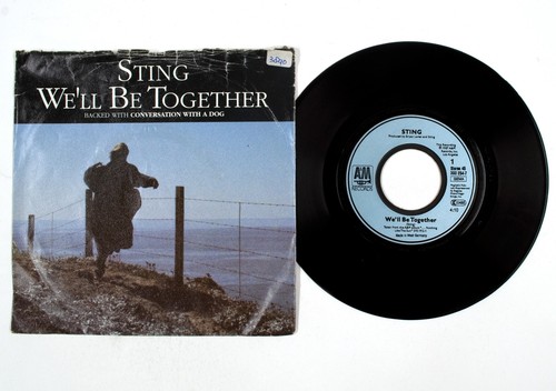 Sting saremo insieme - –, /