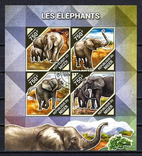 Animali elefanti niger 2015 - animali,