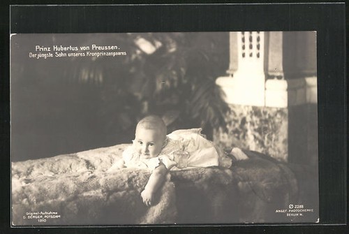 Principe hubertus sdraiato - principe,
