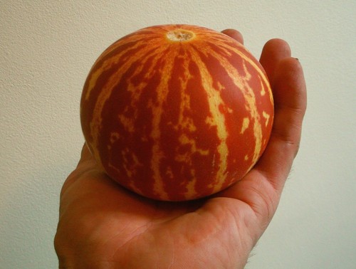 Melone tascabile queen anne - melone,