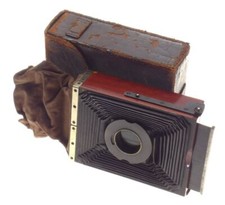 Newman & guardia nydia