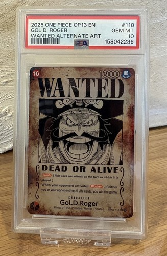 One piece gol roger - one,
