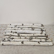 Tronchi corteccia betulla