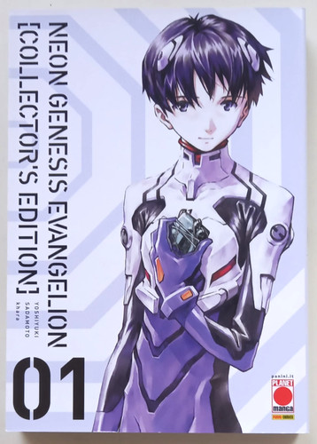 Neon genesis evangelion - neon,