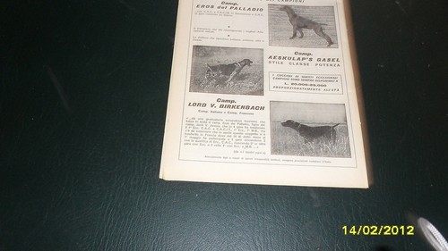 Pubblicita sulla caccia cani - pubblicita', caccia: