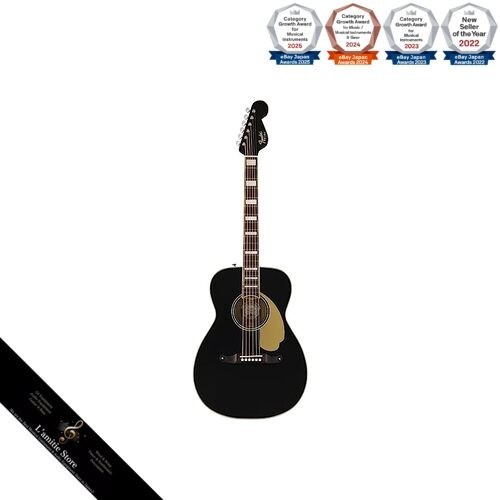 Chitarra acustica elettrica - chitarra, acustica-elettrica
