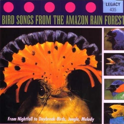 Various artists bird songs - various,