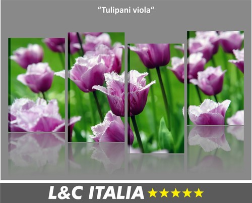 Tulipani viola quadro - viola,