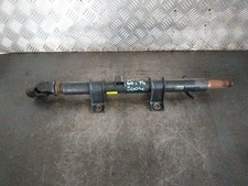 CANNA DELLO STERZO (PIANTONE)